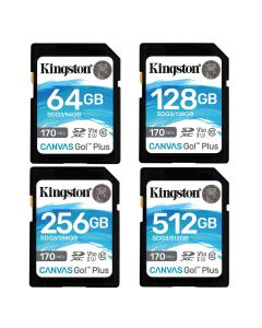 Kingston Canvas Go Plus UHS-I SDXC Memory Card SDG3